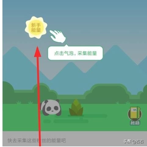 微博熊猫守护者在哪怎么开通保护大熊猫